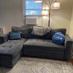 Gray Couch 