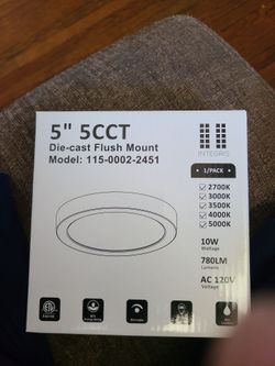 Die cast flush mount light