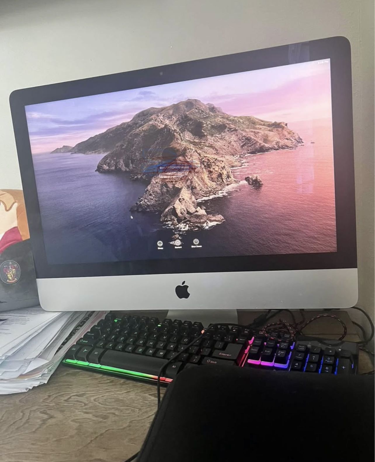 Apple iMac - Mac Desktop Monitor - 21.5”