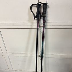  Alsop Shock Absorber snowski poles 48”