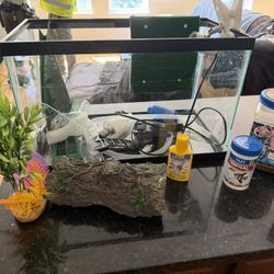 20gallon Tank With Everything
