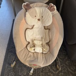 Baby Bouncer