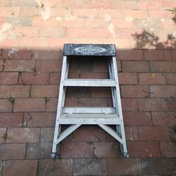 Werner Step Ladder