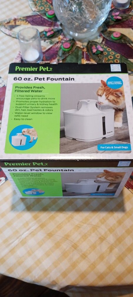 Cat Fountain