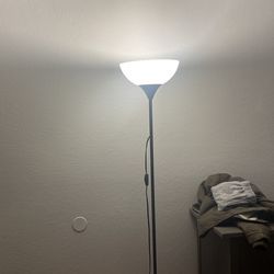 Light Fixture