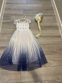 Elsa Dress And Wig