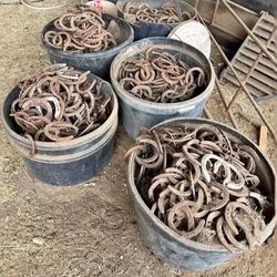 Horse Shoes