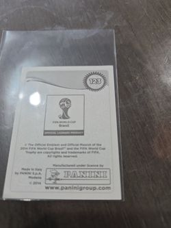 Panini 2014 FIFA World Cup Brasil Sticker #123