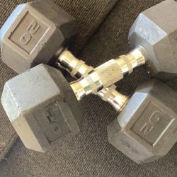 Dumb Belt, 20 Pounds