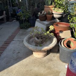 for plater o water fountain