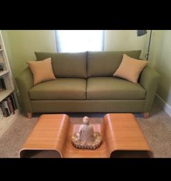 Light Green Couch with Queen Sofa-Bed