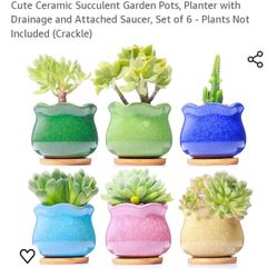 New 6pk Succulent Pots 