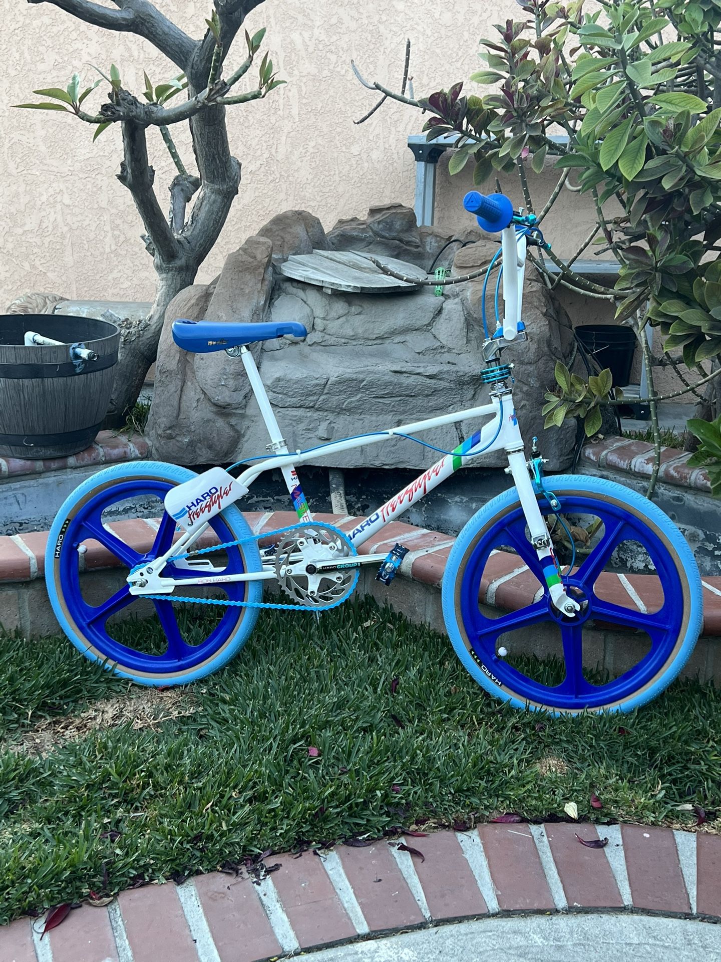 1984 Haro master