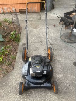 Poulan Pro Mulching Push Mower