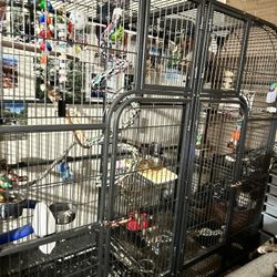 Xl Bird Cage
