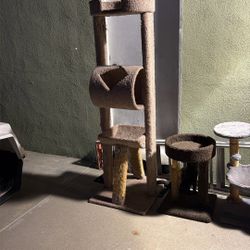 Used Cat Condo Solid Wood Beige Climbing Tower Cat Tree, 24” 69" 24”