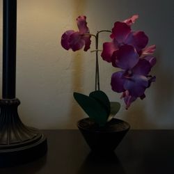 Faux  Fuchsia  Orchid