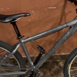 Santa  Cruz Chameleon  26” $400 