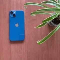 iPhone 13 (256gb) Unlocked Blue Color