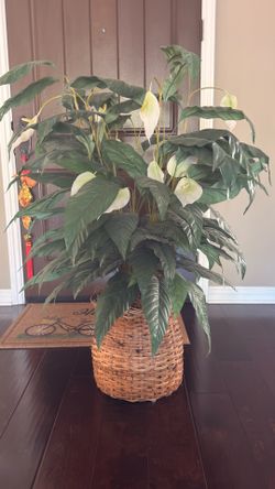 For Sale: Artificial Peace Lily Plant