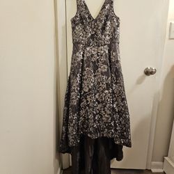 Prom/Homecoming Dress 