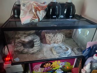80 gallon reptile tank and lamps