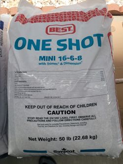 BEST ONE SHOT