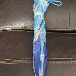 Frozen Umbrella