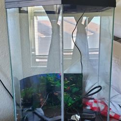 20 Gallon Aquarium