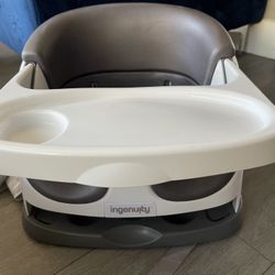 Ingenuity Booster Seat