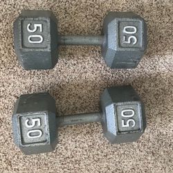 50 Pound Dumbbells 