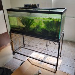 Fish Tank. 75 Gallons, 48"×18"×21. With Stand