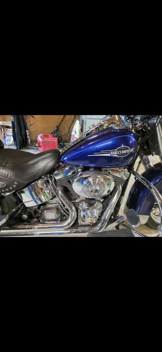 06 Harley davidson Softail