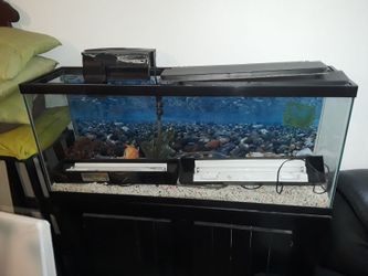 Fish tank aquarium, ( 4ft bye 1/5 )