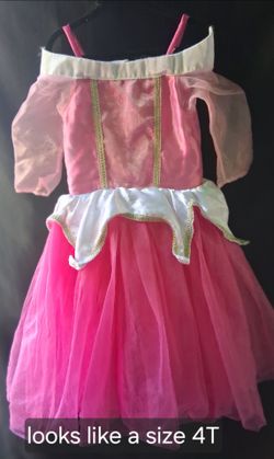 Princess dress Costume