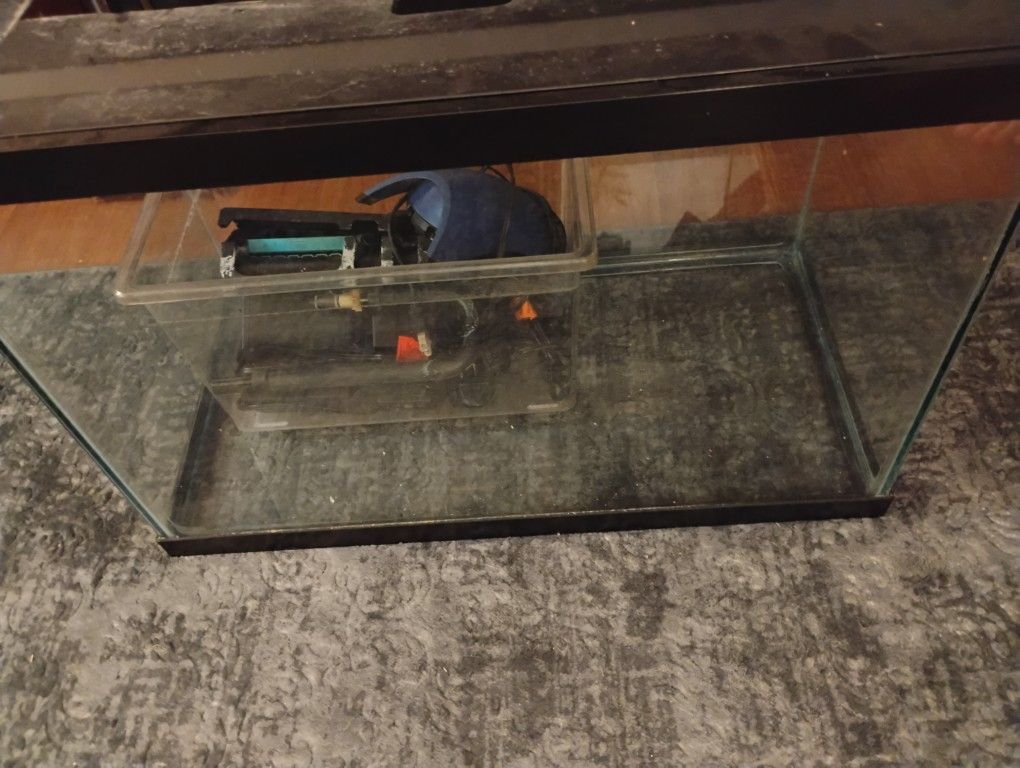 20 Gallon Aquarium With Amenities