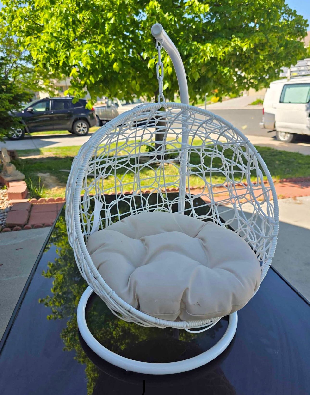 Cat swinging bed