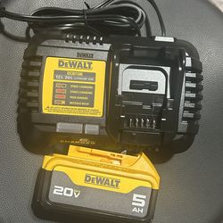 Dewalt 5.0 battery and 6 amp charger FIRM