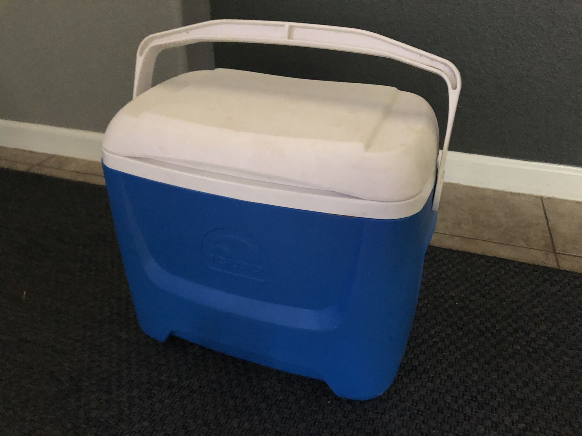 28 quart Igloo Cooler