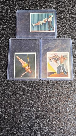 German tobacco cards the circus