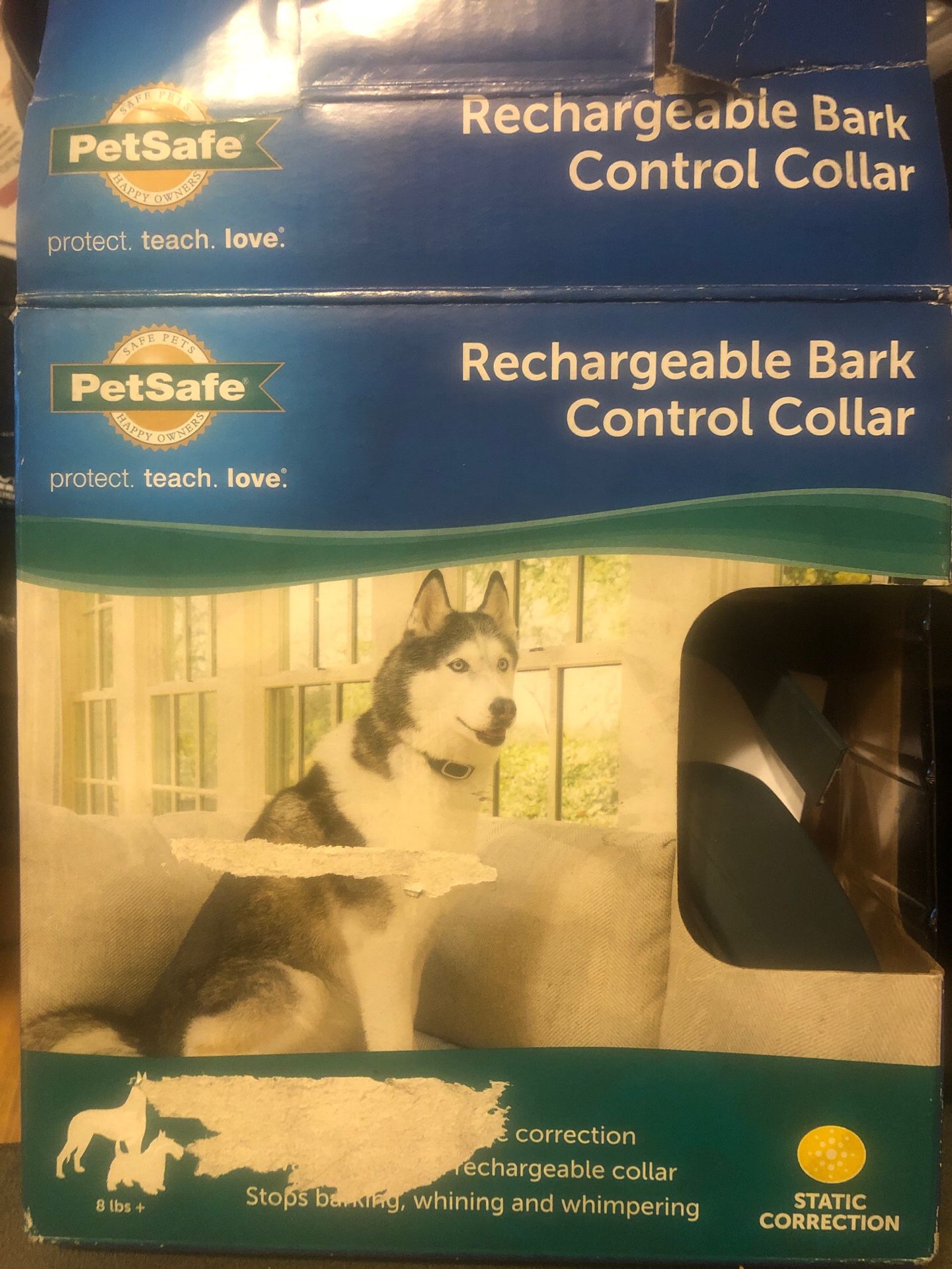 Dog shock collar