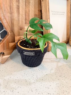 TheZanyHook Black Crochet Plant Pot Cover