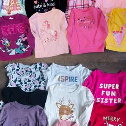 Toddler Girls 2T Long Sleeve Shirts