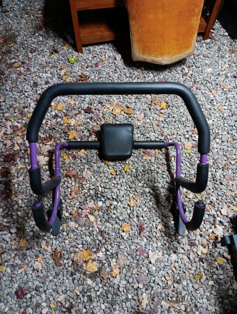 Purple Ab Roller Plus