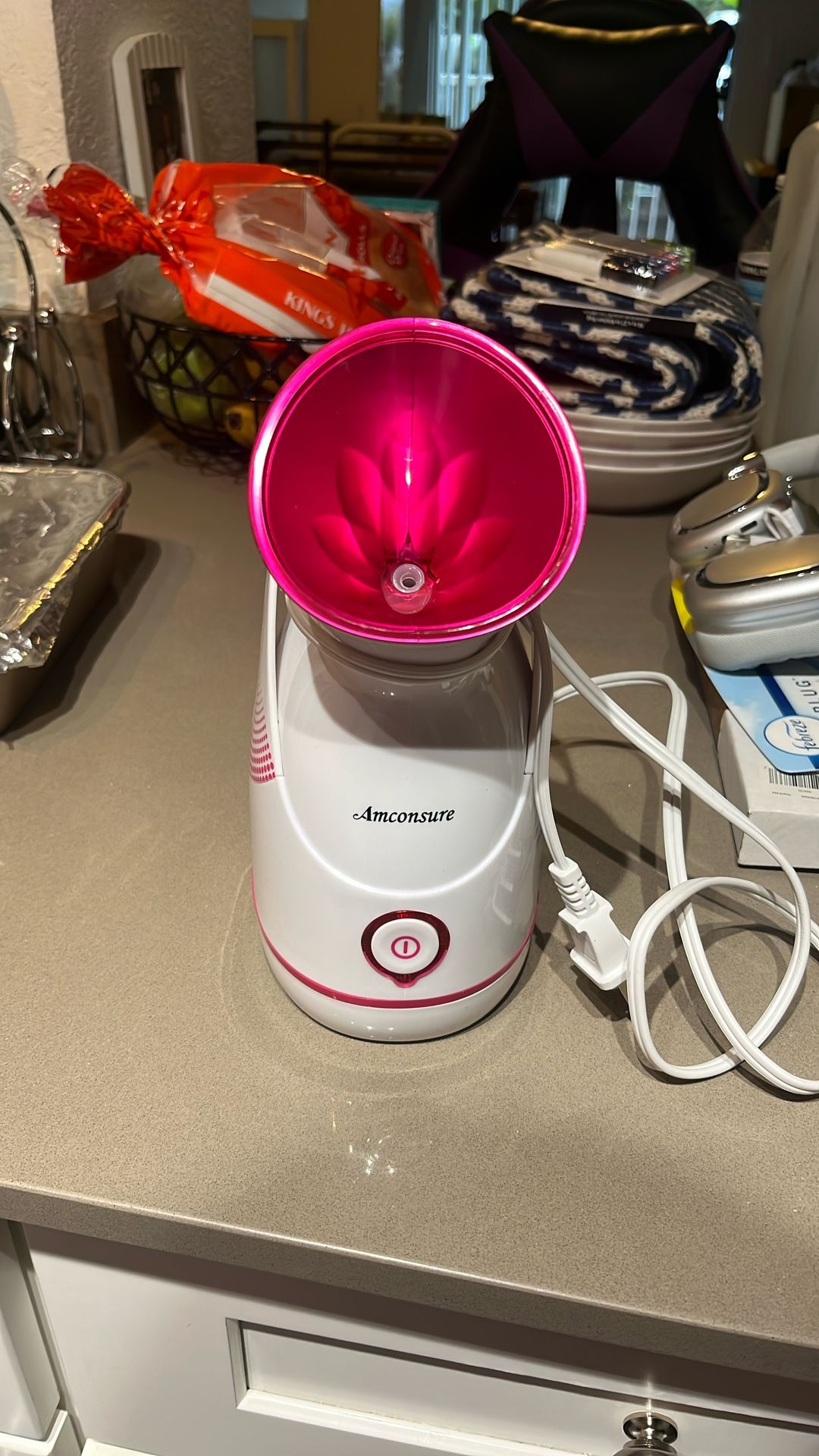Facial Steamer