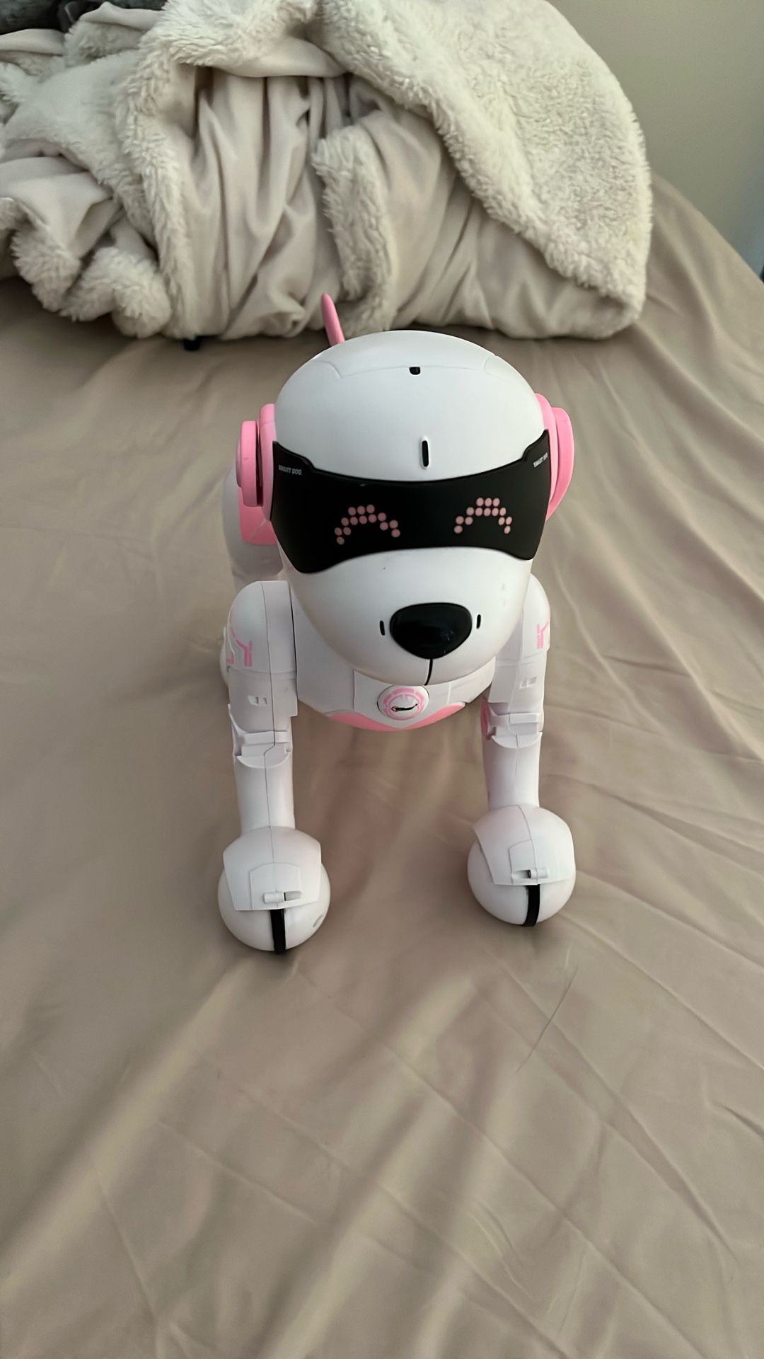 Smart Dog