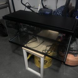 20 Gallon Fish Tank
