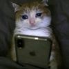 Anyssa