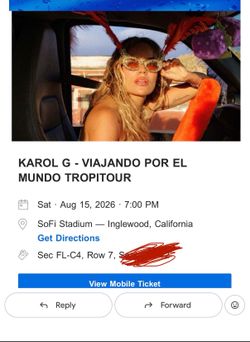 2 Karol g floor tickets