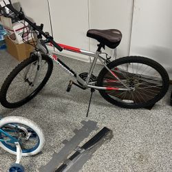 Roadmaster 15 Speed Bike